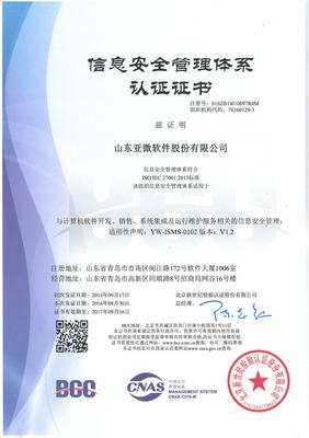 山东亚微软件 深耕网络与信息安全软件开发，铸就数字时代安全基石